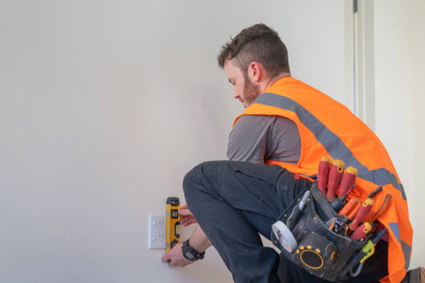 Best Electric Panel Repair  in Laporte, CO