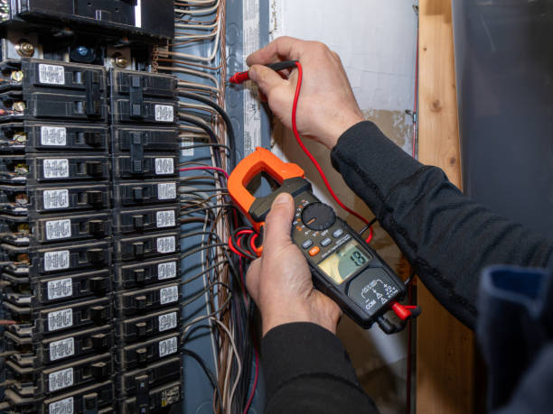 Best Electric Panel Repair  in Laporte, CO